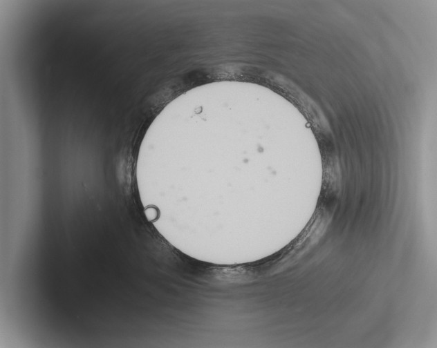 X0000102520525200809051446