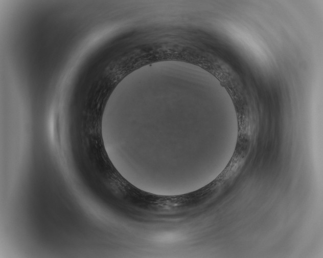 X0000102520526200809051446