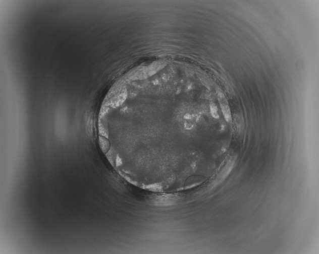 X0000102520527200809051446