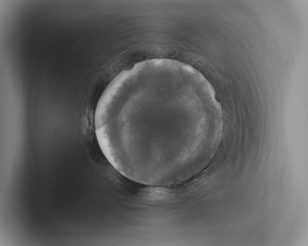 X0000102520528200809051446