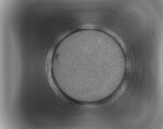 X0000102520529200809051445