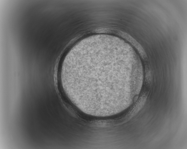 X0000102520530200809051445