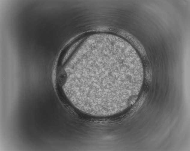 X0000102520532200809051445