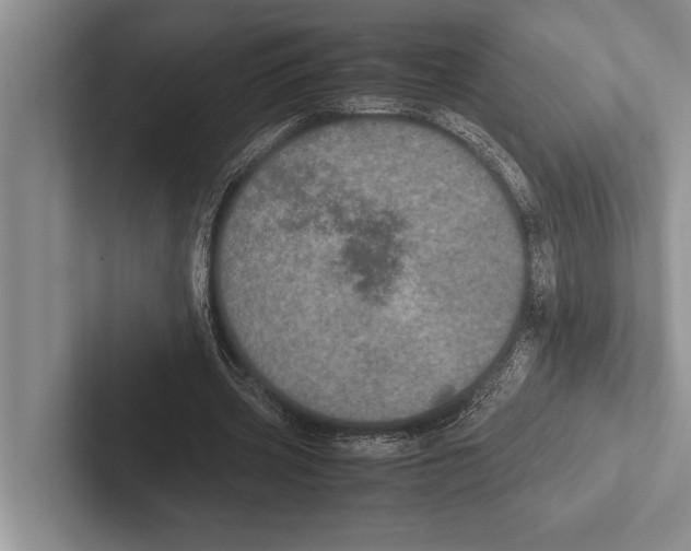 X0000102520533200809051445