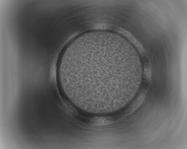 X0000102520534200809051445