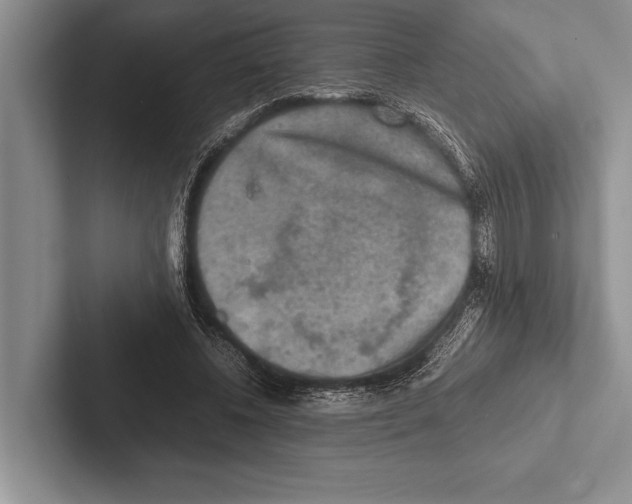 X0000102520540200809051445