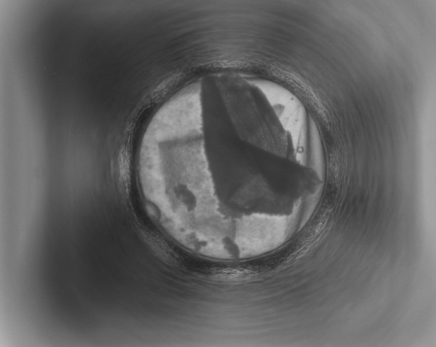 X0000102520542200809051445