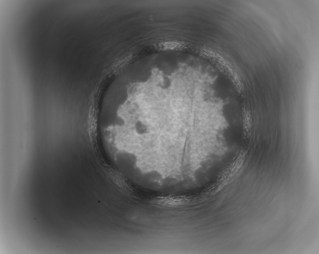 X0000102520545200809051445