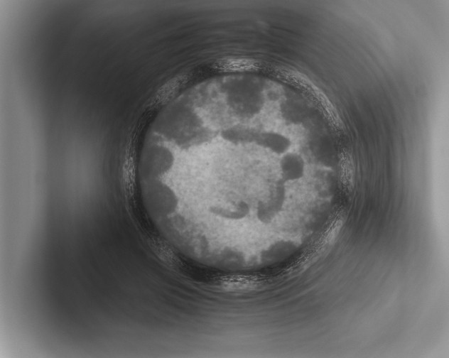 X0000102520549200809051445