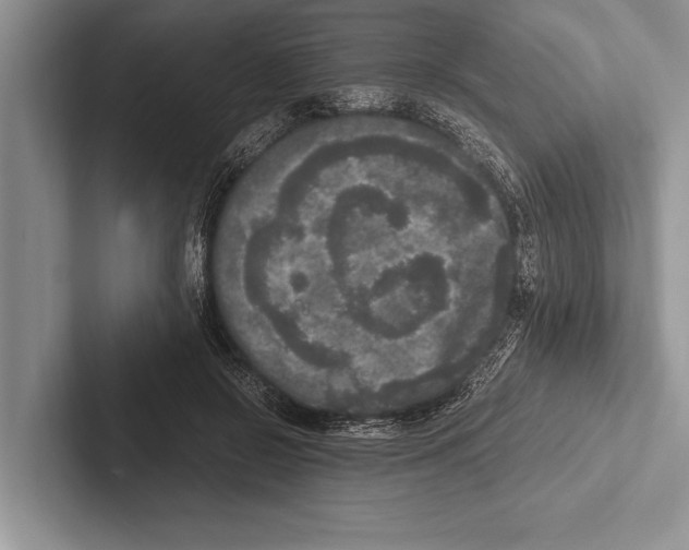 X0000102520550200809051445