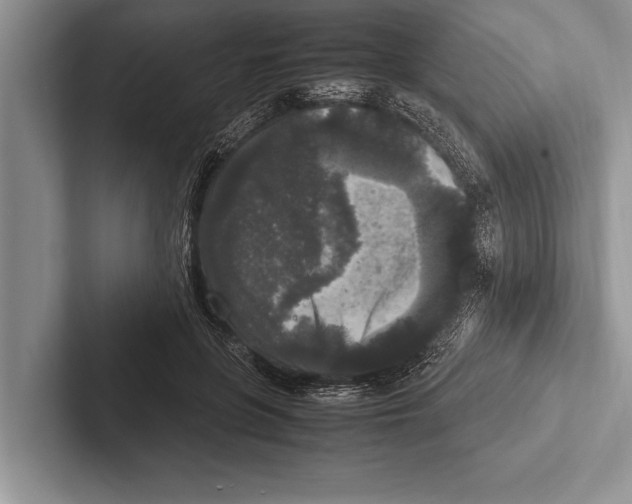 X0000102520551200809051445