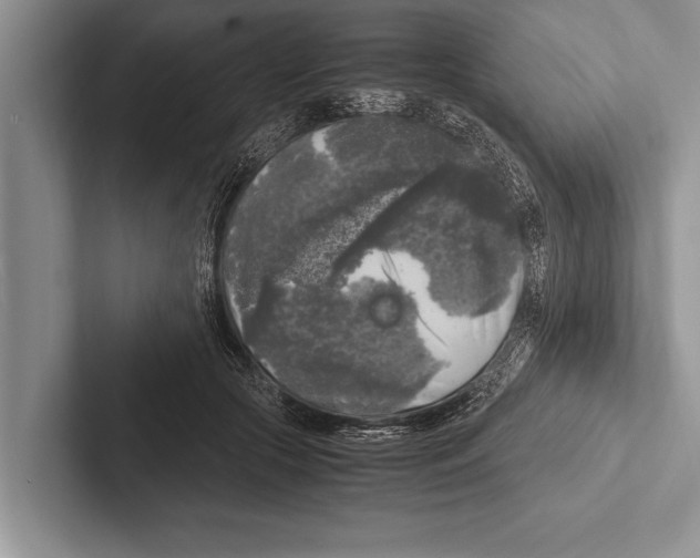 X0000102520553200809051445
