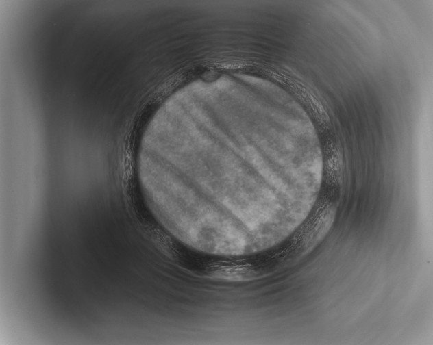 X0000102520555200809051445