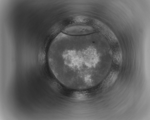 X0000102520556200809051445