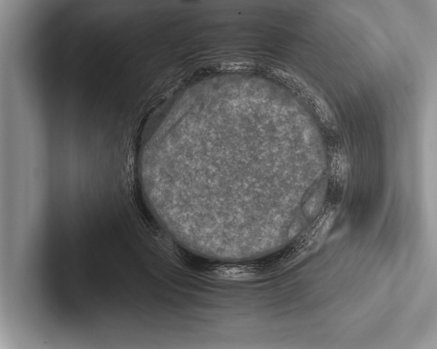 X0000102520557200809051445