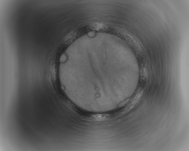 X0000102520558200809051445