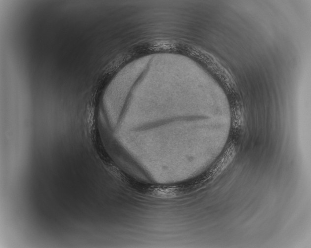 X0000102520560200809051445