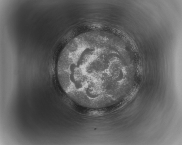 X0000102520561200809051445