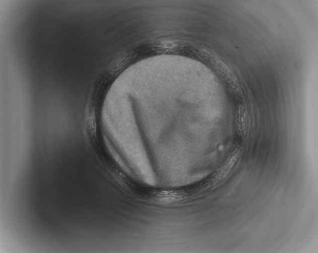 X0000102520562200809051446