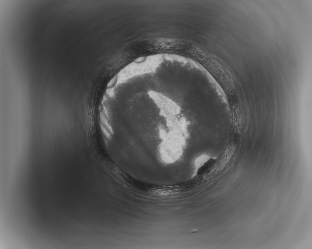 X0000102520563200809051446