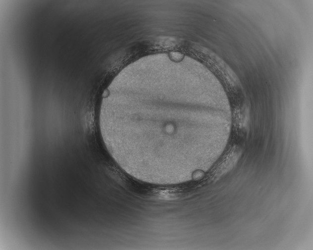 X0000102520564200809051446