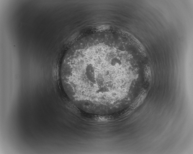 X0000102520565200809051446