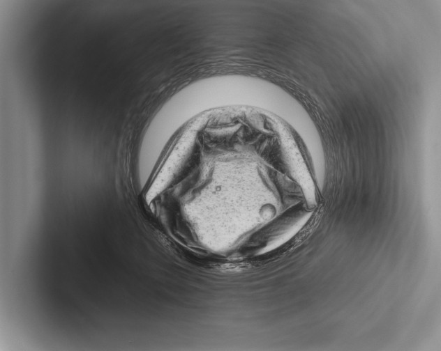X0000102520566200809051446