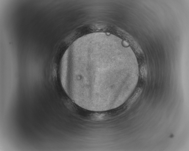X0000102520570200809051446