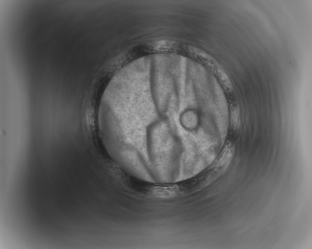 X0000102520571200809051446