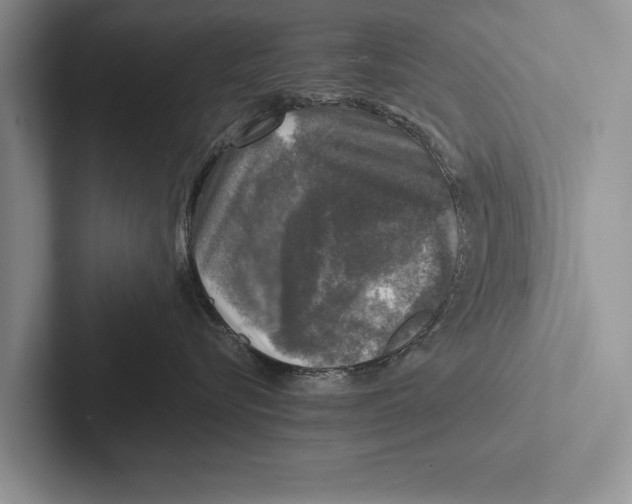 X0000102520576200809051446
