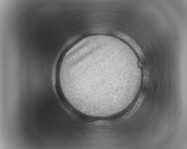 X0000102520578200809051445