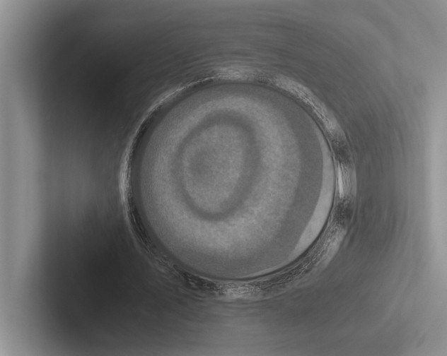 X0000102520579200809051445