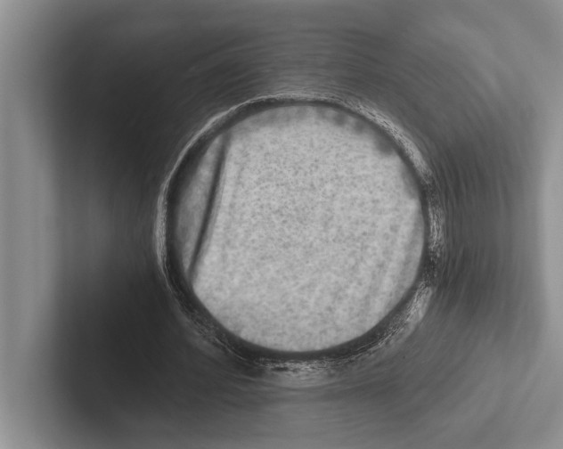 X0000102520580200809051445