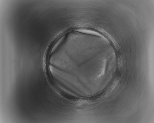 X0000102520581200809051445