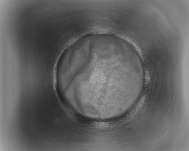 X0000102520582200809051445