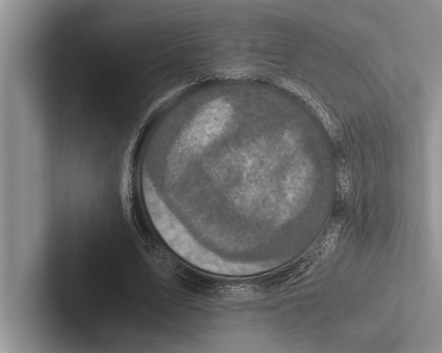 X0000102520583200809051445