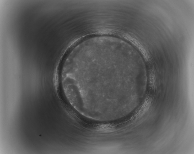 X0000102520584200809051445