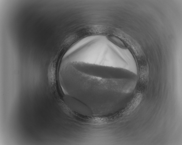X0000102520585200809051445