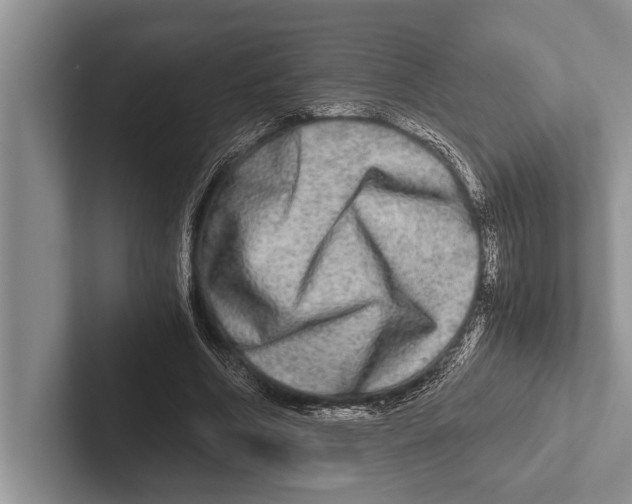 X0000102520586200809051445