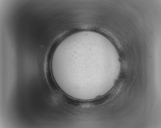 X0000102520587200809051445