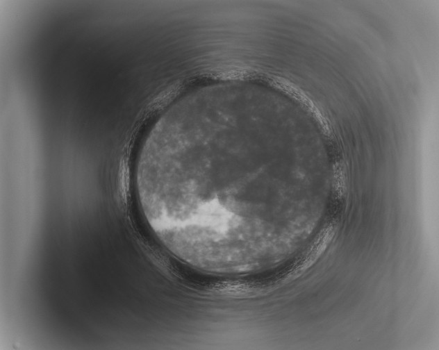 X0000102520589200809051445
