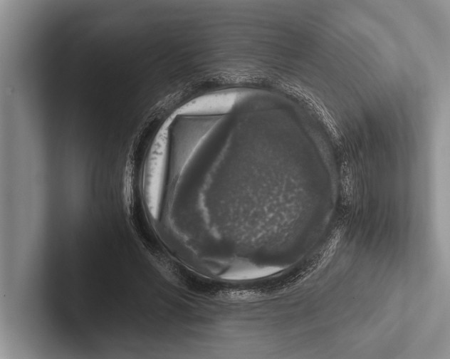 X0000102520590200809051445