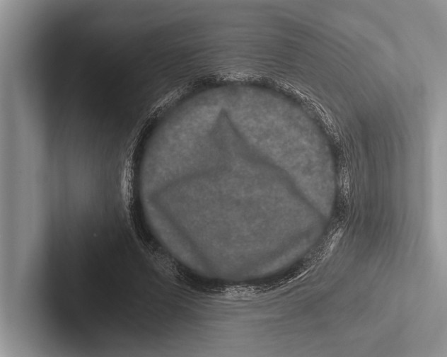 X0000102520591200809051445