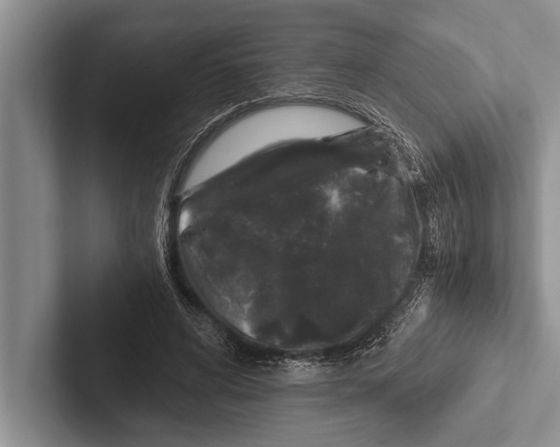 X0000102520592200809051445