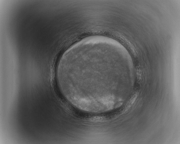 X0000102520593200809051445