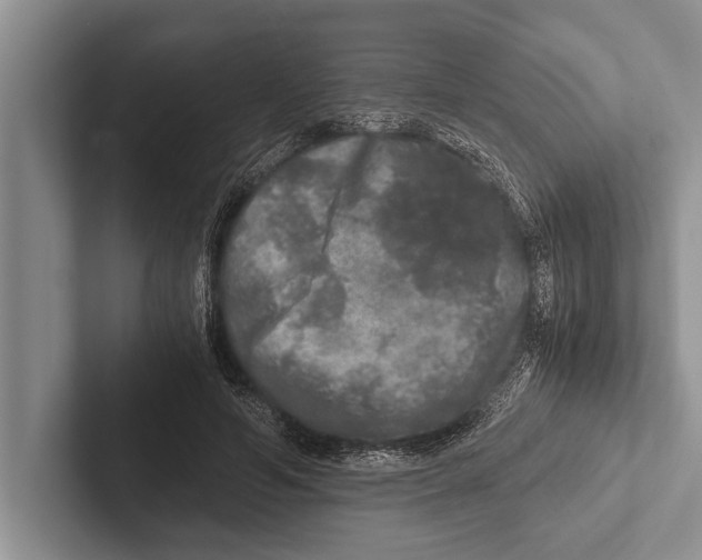 X0000102520594200809051445