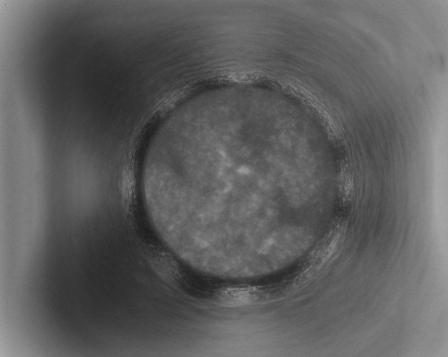 X0000102520595200809051445