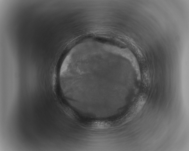X0000102520596200809051445