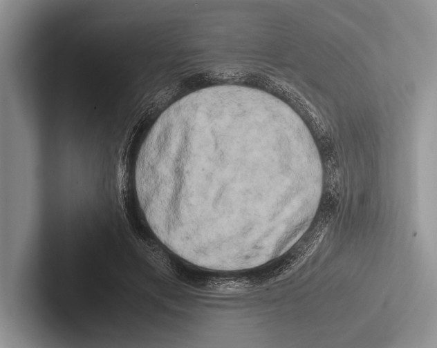 X0000102520597200809051445