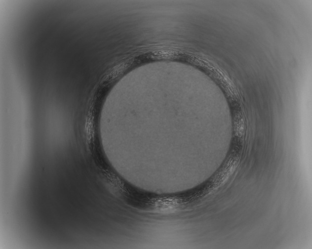X0000102520599200809051445